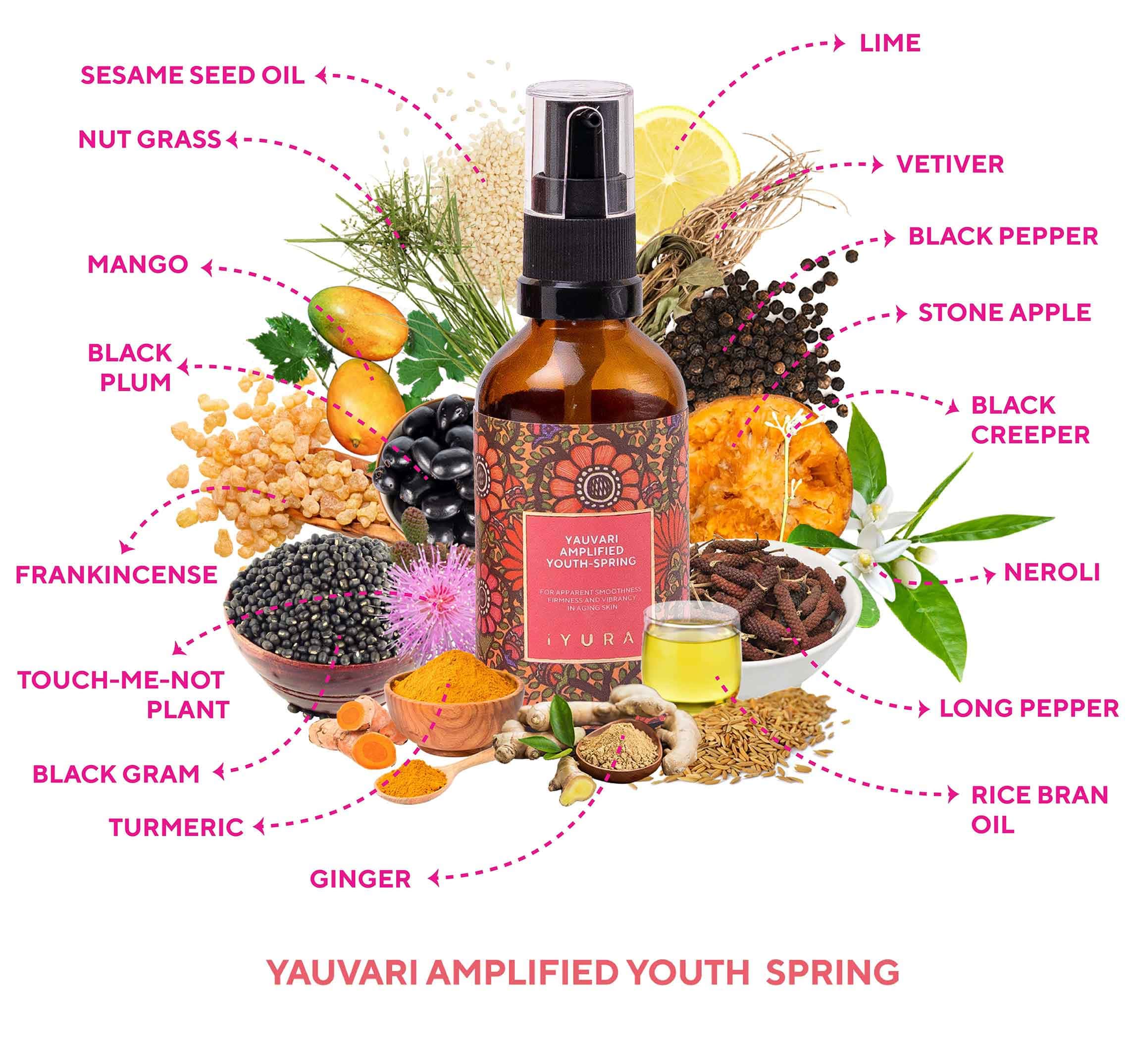 The ingredients of iYURA Yauvari Amplified Youth Spring