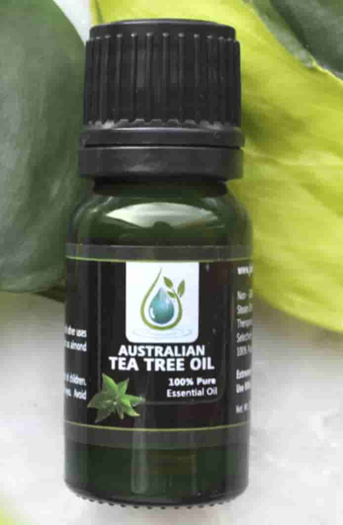 Tea Tree essential oil